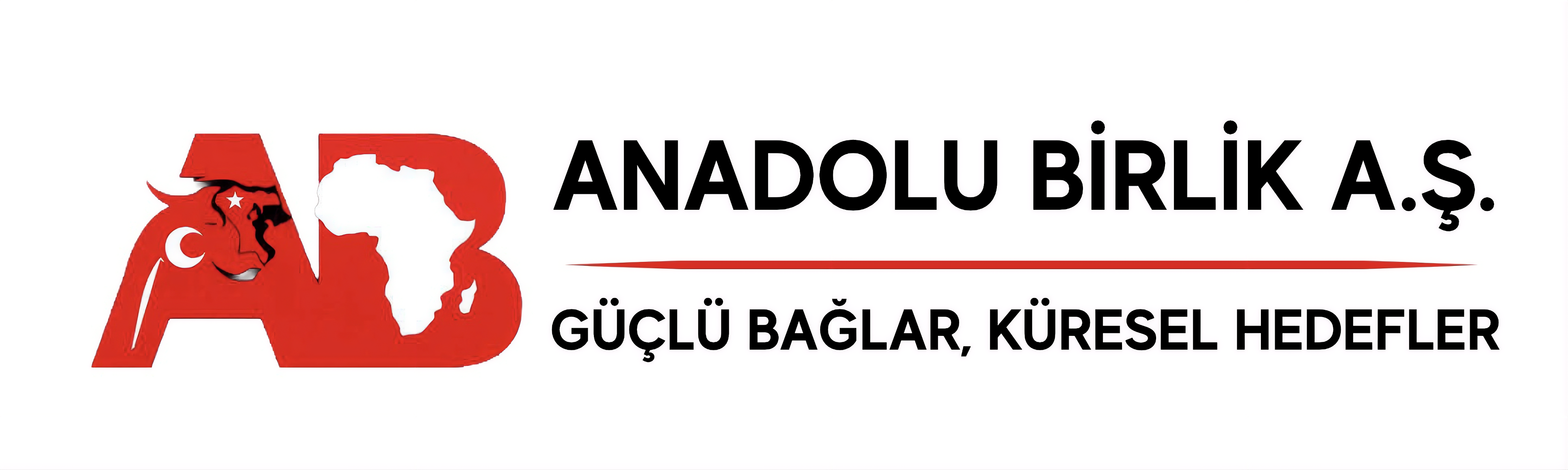 Anadolu Birlik