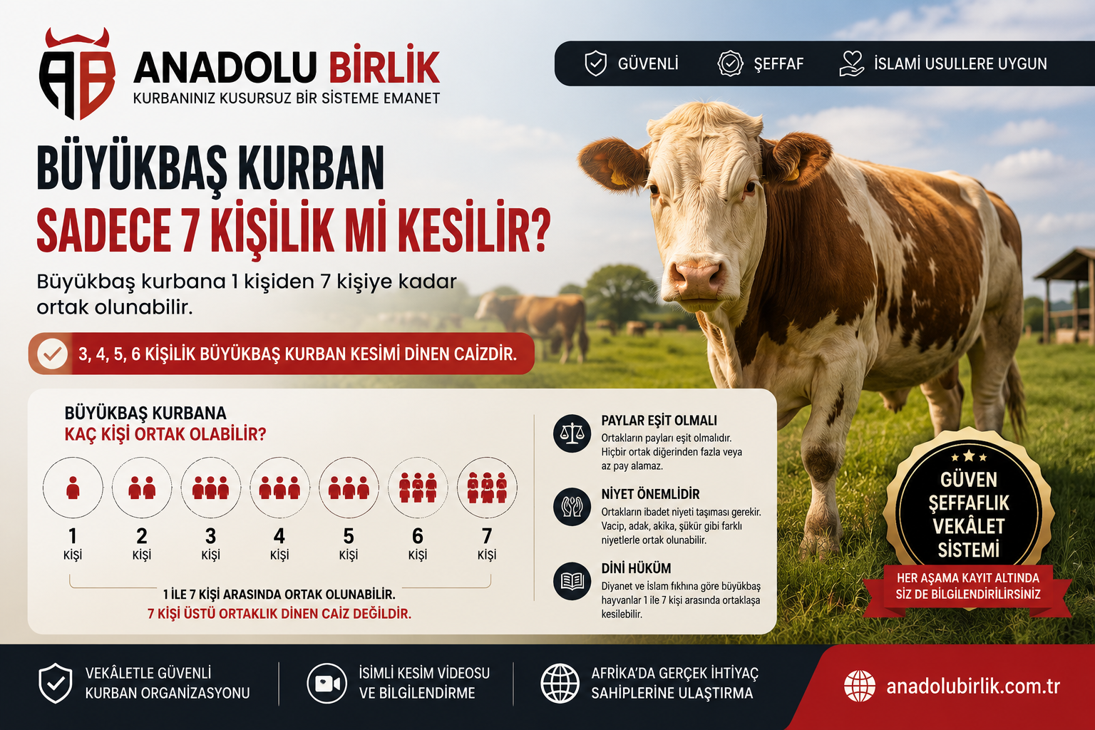 Büyükbaş Kurban Sadece 7 Kişilik mi Kesilir? 3, 4, 5 veya 6 Kişi Ortak Olabilir mi?