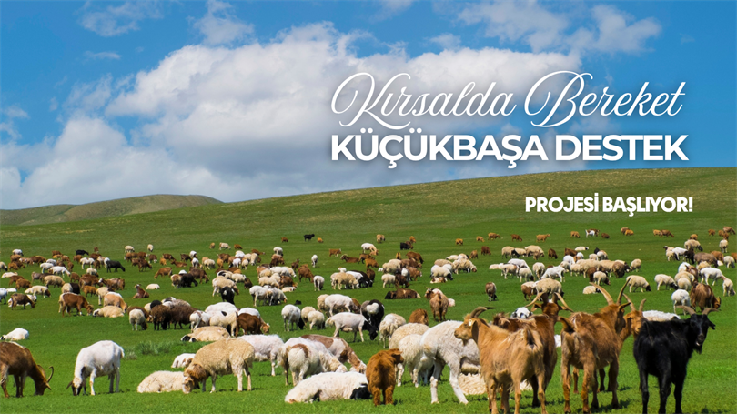 Kırsalda Bereket Küçükbaşa Destek Projesi