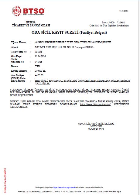 Güncel Faaliyet Belgemiz