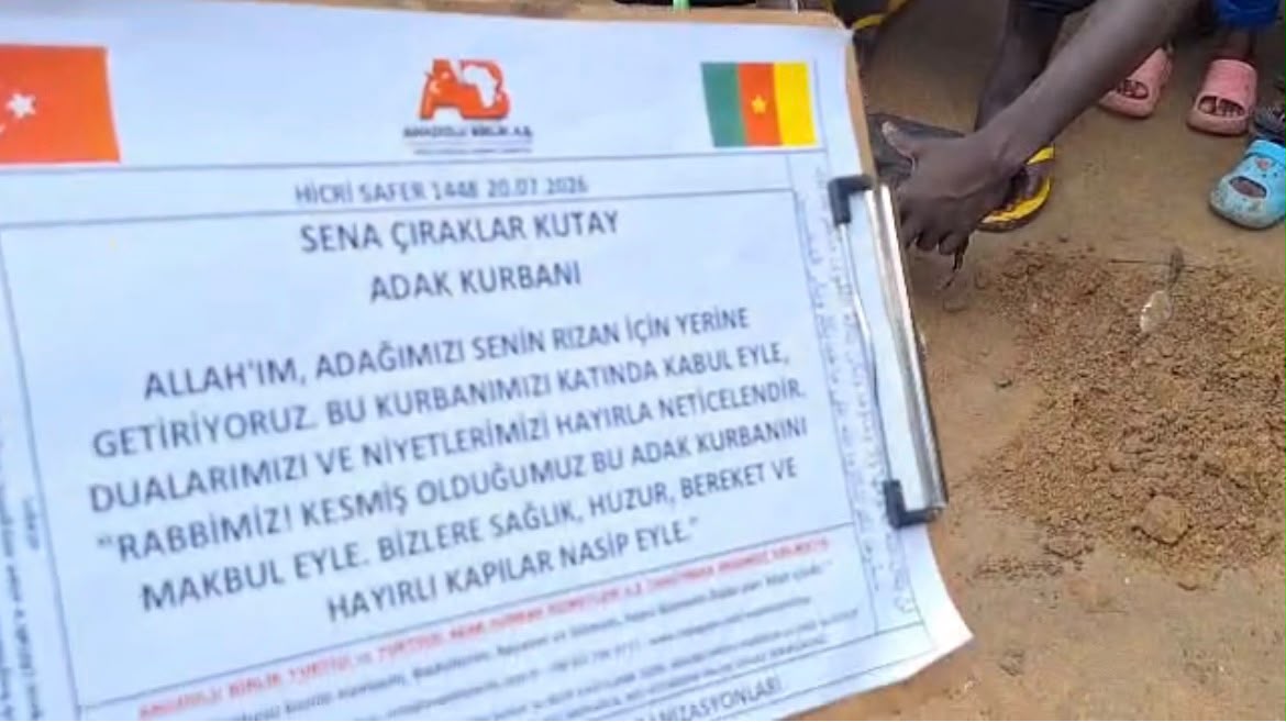 Afrika Rehberi