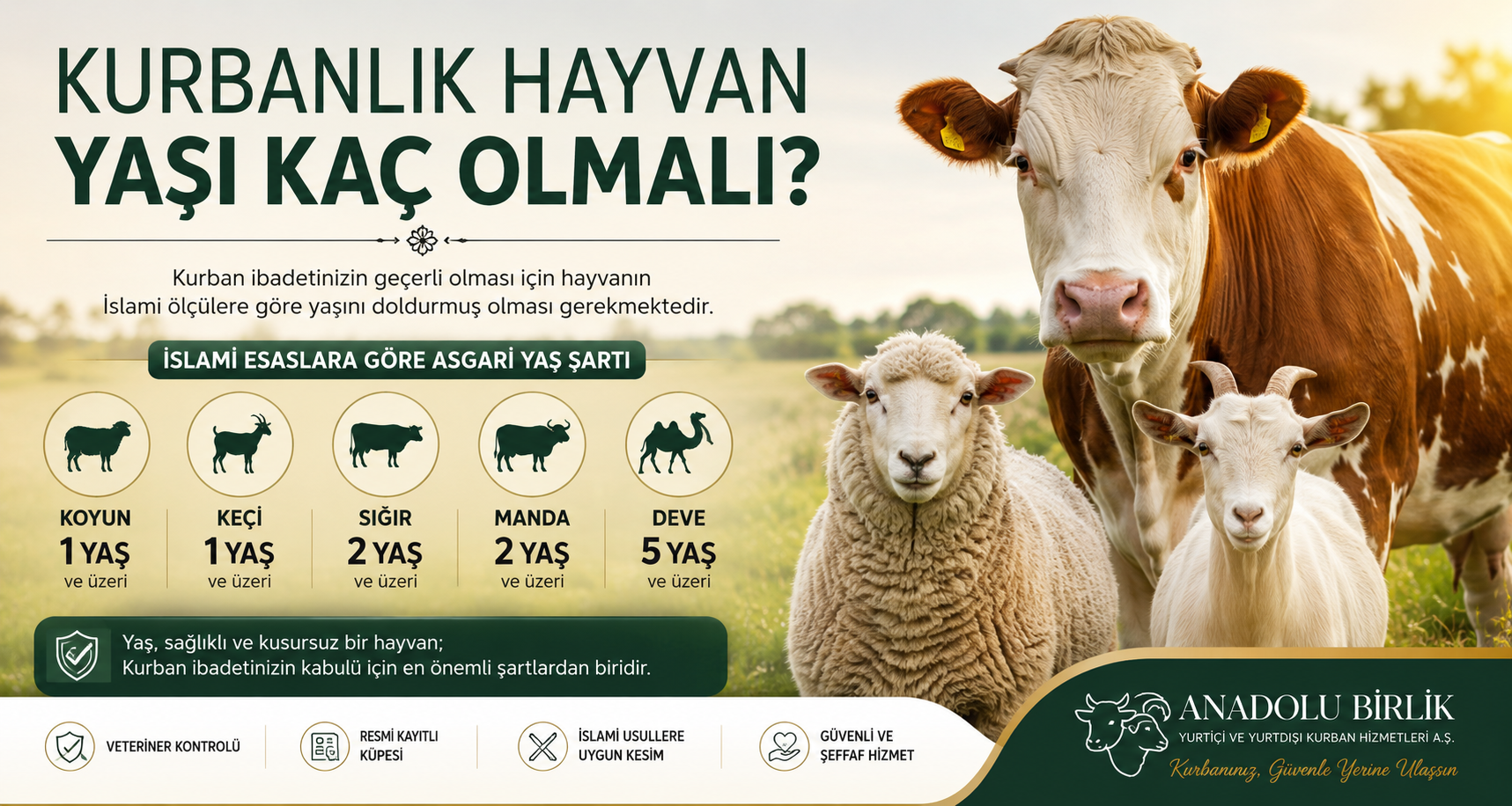 Kurban ve İsraf: Kurban İbadetinde Kaçınılması Gereken İsraf Türleri ve İslam'ın Ölçüleri