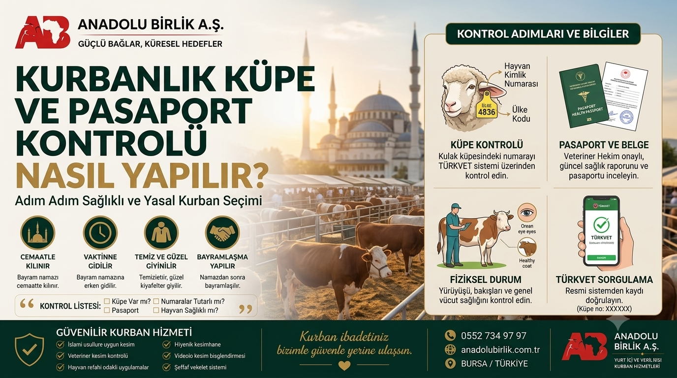 Kurbanlık Küpe ve Pasaport Kontrolü Nasıl Yapılır?
